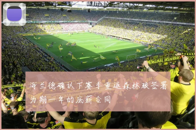 海兰德确认下赛季重返森林狼签署为期一年的底薪合同